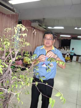 DSC00528