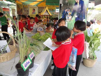 DSC00959