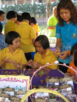 IMG_6561
