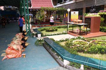 IMG_8113