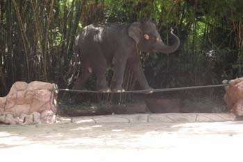 DSC05030