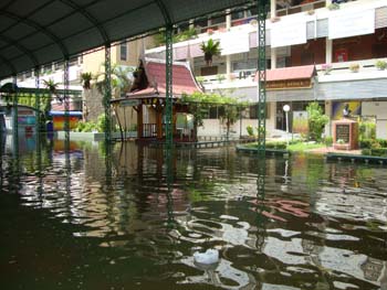DSC08738