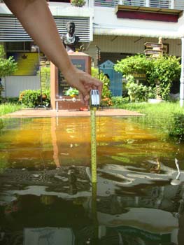 DSC08855