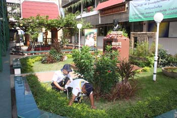 IMG_4849