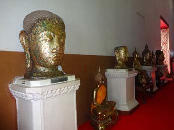 DSC00420